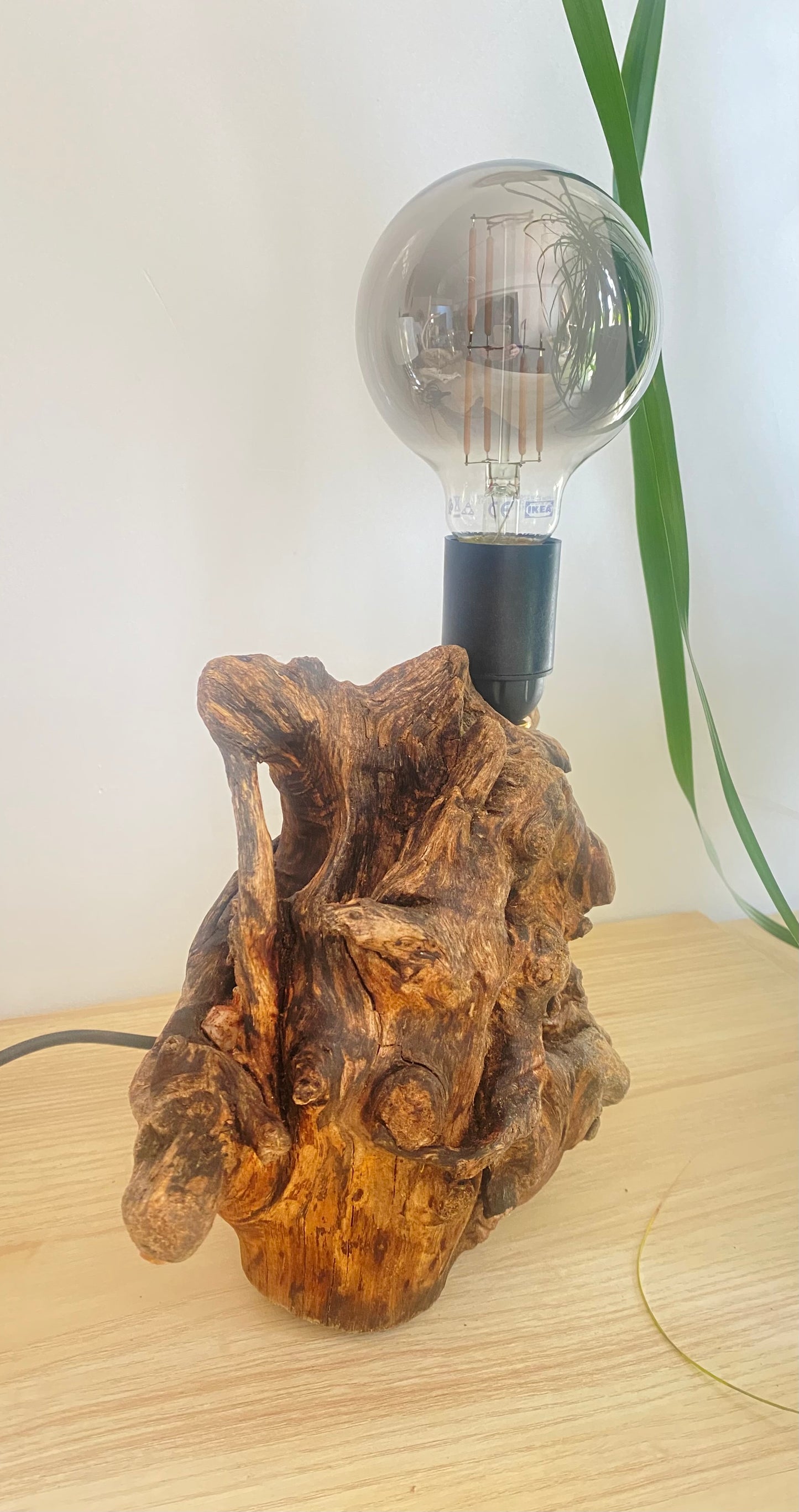 Lampe Racine des mers