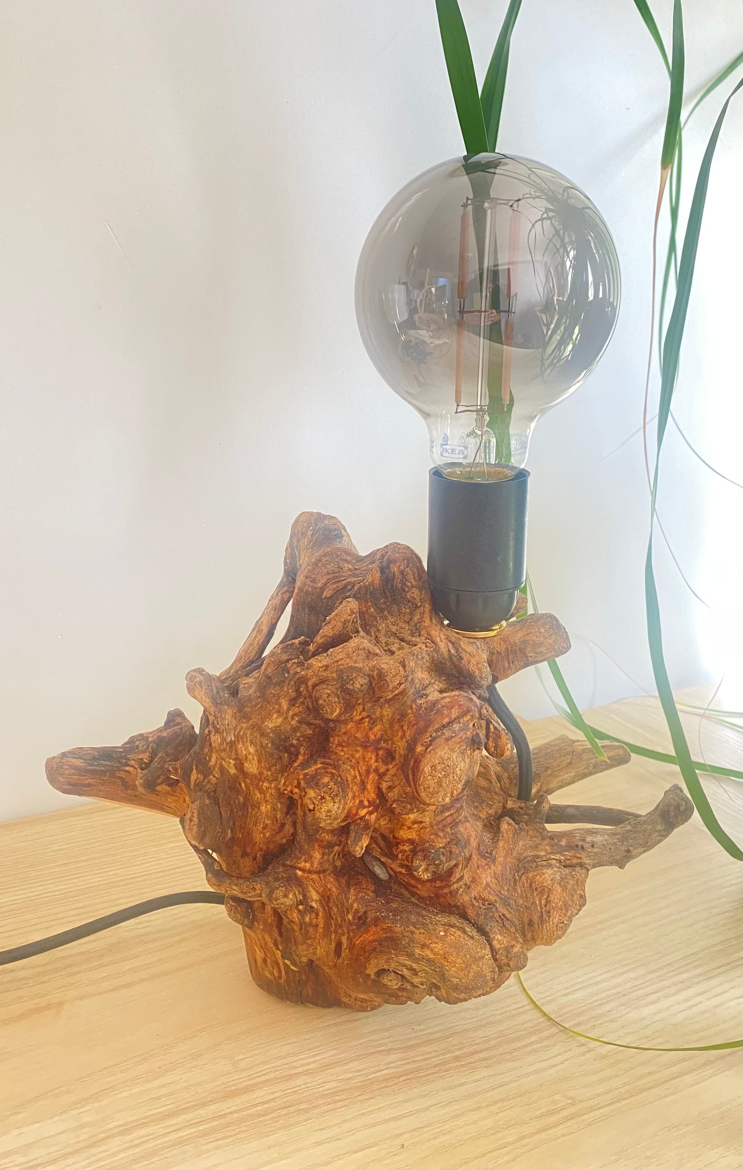 Lampe Racine des mers