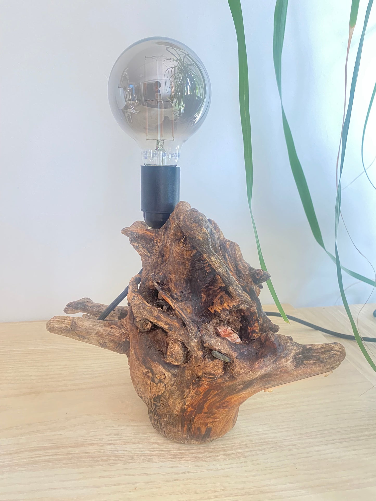 Lampe Racine des mers