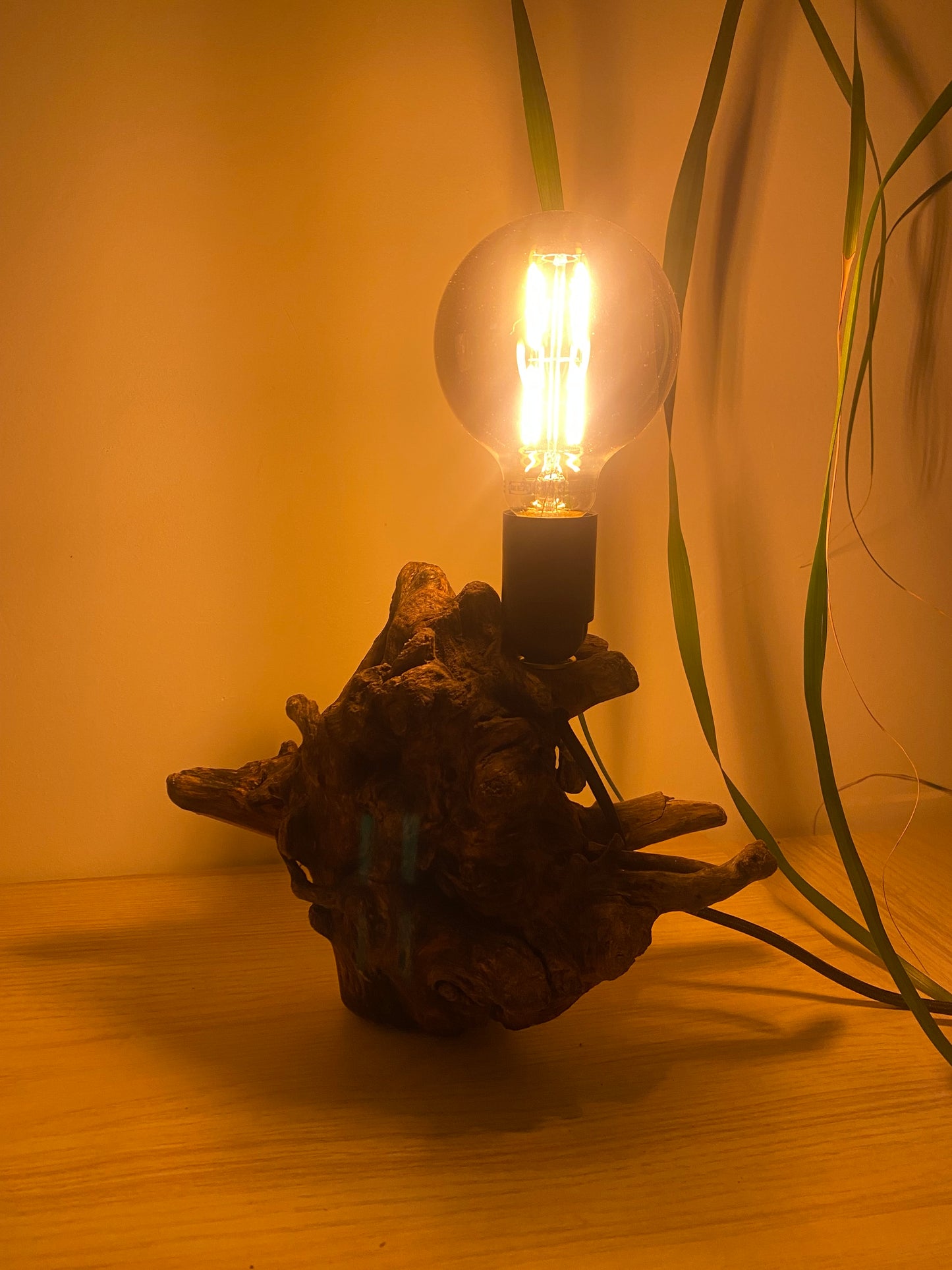 Lampe Racine des mers