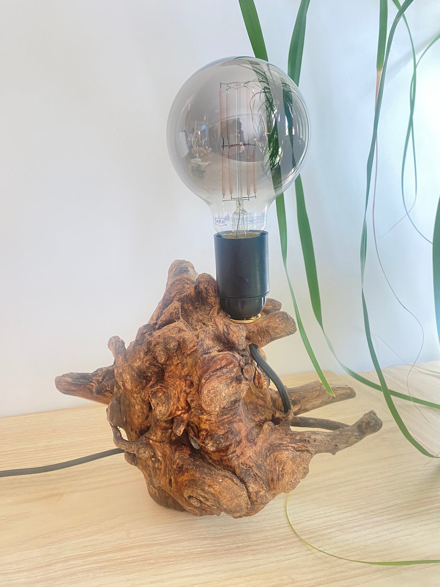Lampe Racine des mers