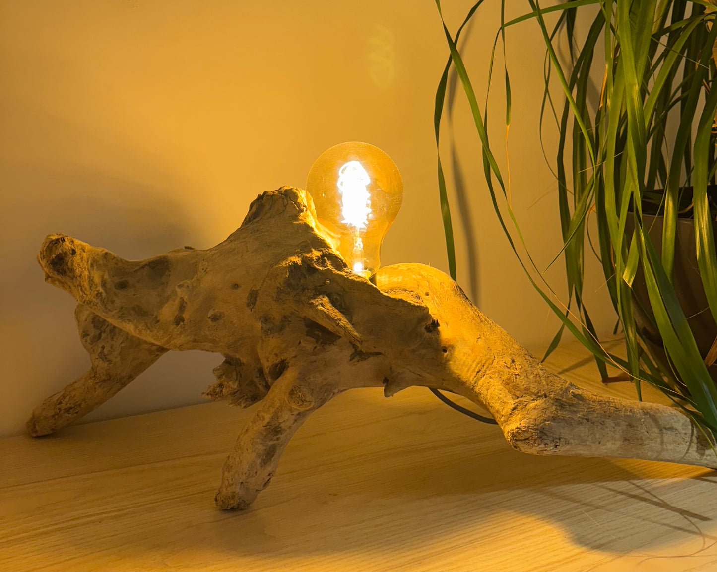 Lampe île du Gaou