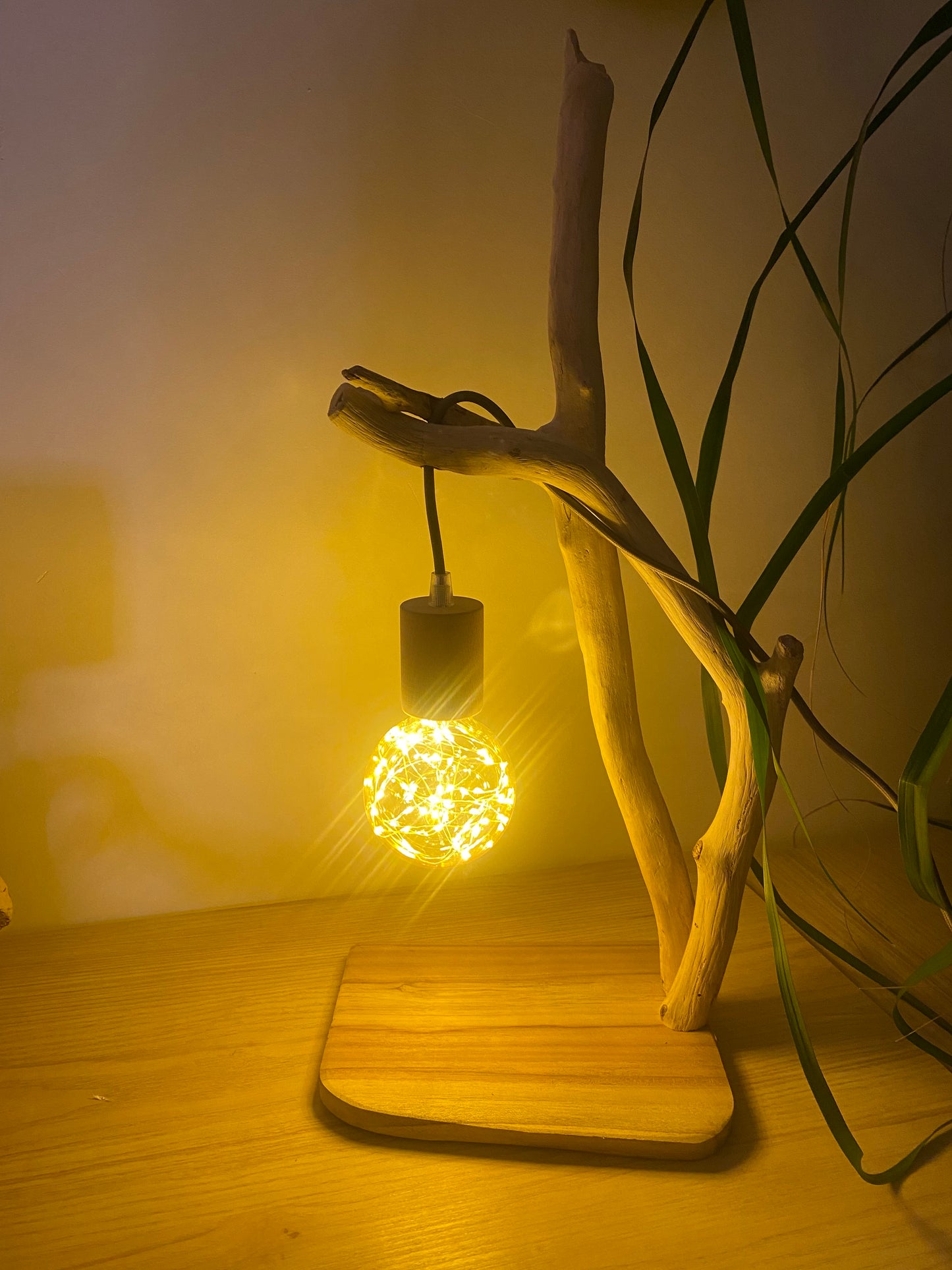 Lampe plage de la réserve