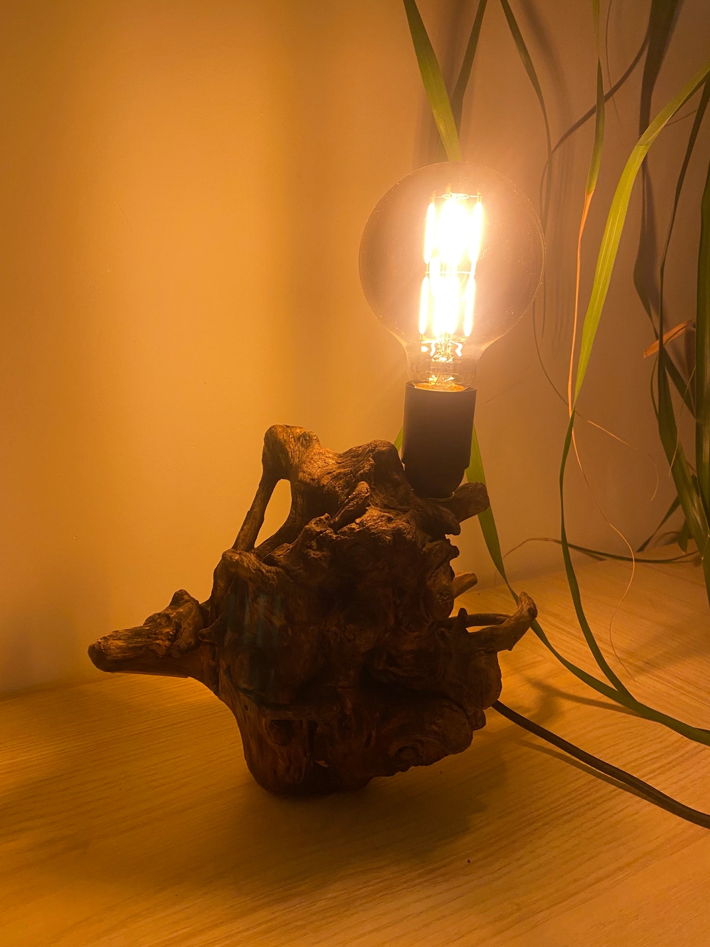 Lampe Racine des mers