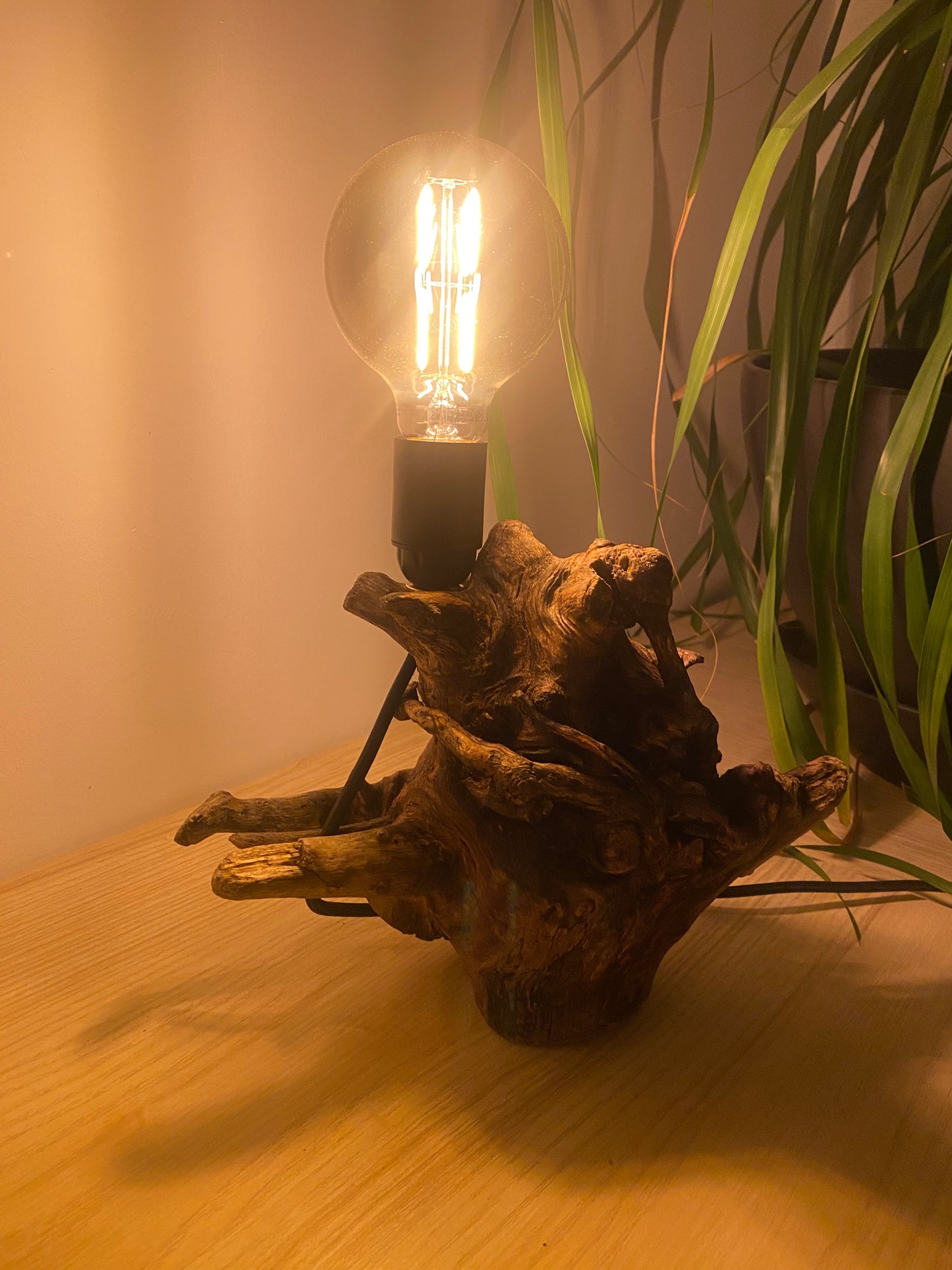 Lampe Racine des mers