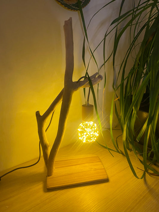 Lampe plage de la réserve