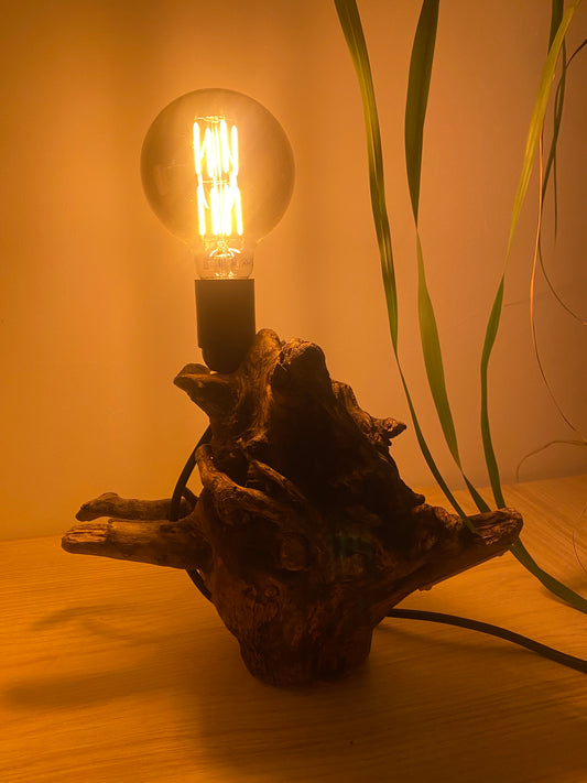 Lampe Racine des mers