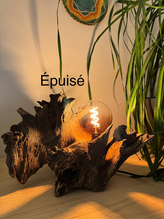 Lampe Volcano