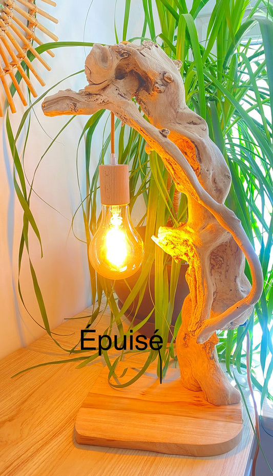 Lampe la Courtade
